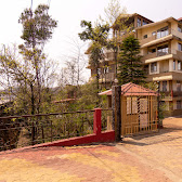 Coniferous Hotel